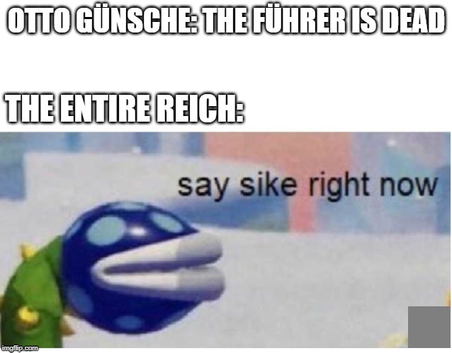 say sike right now | OTTO GÜNSCHE: THE FÜHRER IS DEAD; THE ENTIRE REICH: | image tagged in say sike right now | made w/ Imgflip meme maker