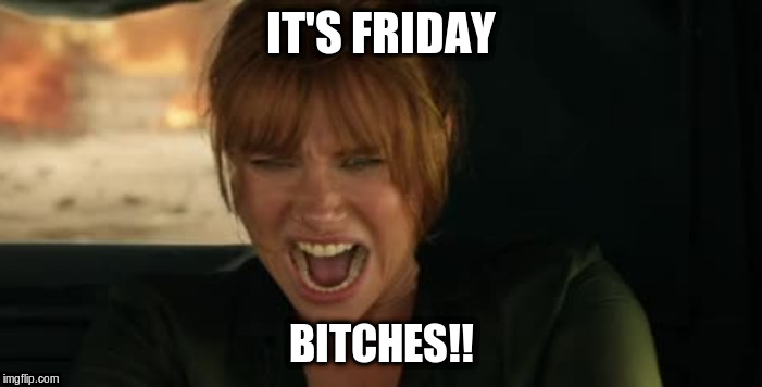 Friday!! | IT'S FRIDAY; BITCHES!! | image tagged in friday,it's friday,funny memes,funny meme | made w/ Imgflip meme maker