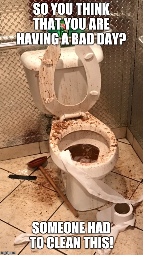 Wtf? | SO YOU THINK THAT YOU ARE HAVING A BAD DAY? SOMEONE HAD TO CLEAN THIS! | image tagged in wtf | made w/ Imgflip meme maker