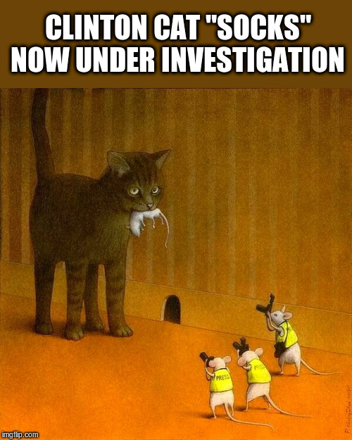 Clinton "Body Count" continues | CLINTON CAT "SOCKS" NOW UNDER INVESTIGATION | image tagged in hillary clinton,bill clinton,political meme | made w/ Imgflip meme maker