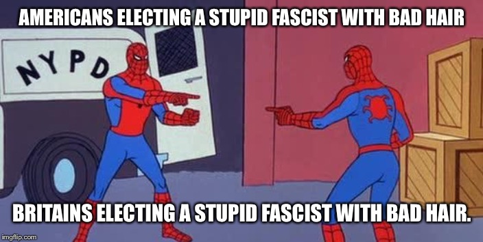 Spider Man Double | AMERICANS ELECTING A STUPID FASCIST WITH BAD HAIR; BRITAINS ELECTING A STUPID FASCIST WITH BAD HAIR. | image tagged in spider man double | made w/ Imgflip meme maker
