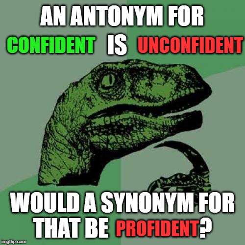 Confidence and Profidence | AN ANTONYM FOR; IS; UNCONFIDENT; CONFIDENT; WOULD A SYNONYM FOR THAT BE                     ? PROFIDENT | image tagged in memes,philosoraptor | made w/ Imgflip meme maker