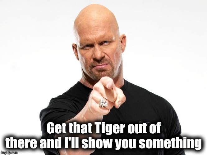 Bald tough guy pointing at you | Get that Tiger out of there and I'll show you something | image tagged in bald tough guy pointing at you | made w/ Imgflip meme maker