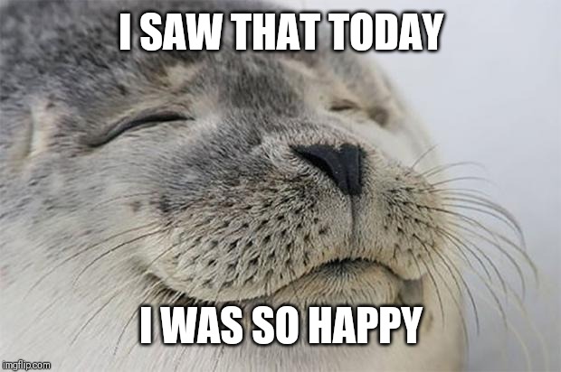 Satisfied Seal Meme | I SAW THAT TODAY I WAS SO HAPPY | image tagged in memes,satisfied seal | made w/ Imgflip meme maker