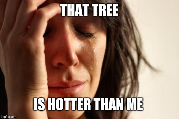 First World Problems Meme | THAT TREE IS HOTTER THAN ME | image tagged in memes,first world problems | made w/ Imgflip meme maker