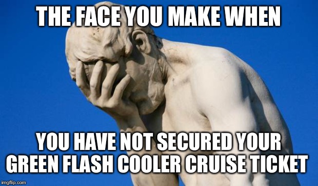 Disapointed | THE FACE YOU MAKE WHEN; YOU HAVE NOT SECURED YOUR GREEN FLASH COOLER CRUISE TICKET | image tagged in disapointed | made w/ Imgflip meme maker