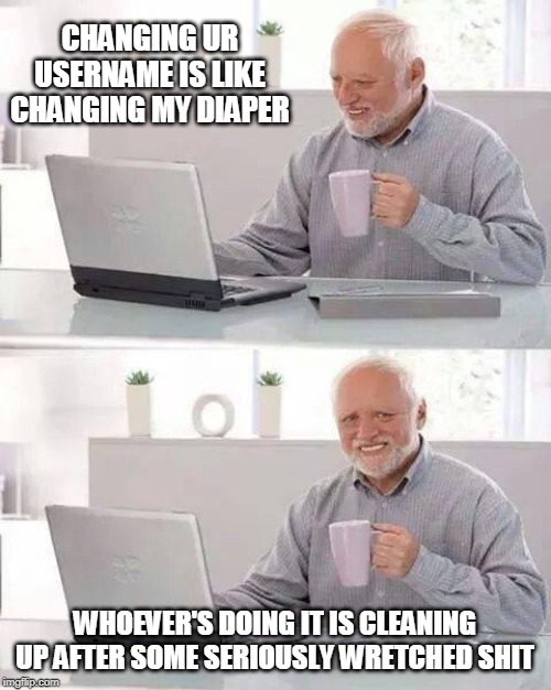 This Username-Changing Craze Is More Painful Than You Will Ever Know! | CHANGING UR USERNAME IS LIKE CHANGING MY DIAPER; WHOEVER'S DOING IT IS CLEANING UP AFTER SOME SERIOUSLY WRETCHED SHIT | image tagged in memes,hide the pain harold,usernames,change,diaper | made w/ Imgflip meme maker
