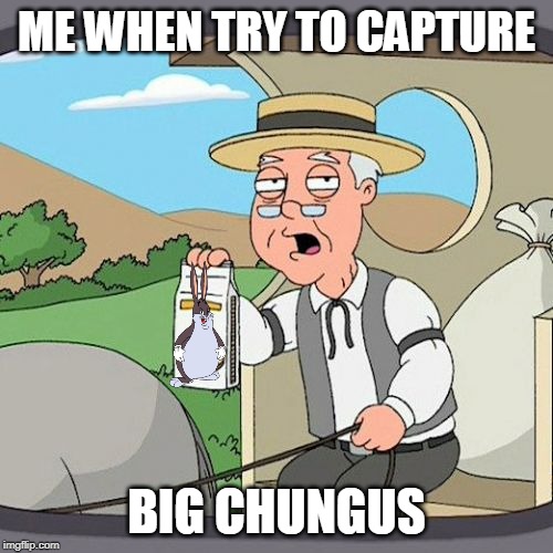 capture the ??? | ME WHEN TRY TO CAPTURE; BIG CHUNGUS | image tagged in memes,the chungus | made w/ Imgflip meme maker