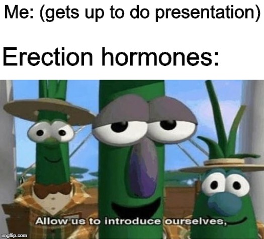 Allow Us to Introduce Ourselves | Me: (gets up to do presentation); Erection hormones: | image tagged in allow us to introduce ourselves | made w/ Imgflip meme maker