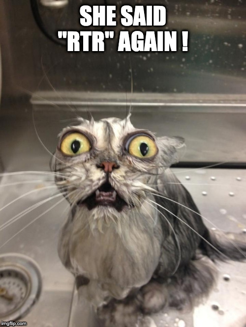 Scared Cat | SHE SAID "RTR" AGAIN ! | image tagged in scared cat | made w/ Imgflip meme maker