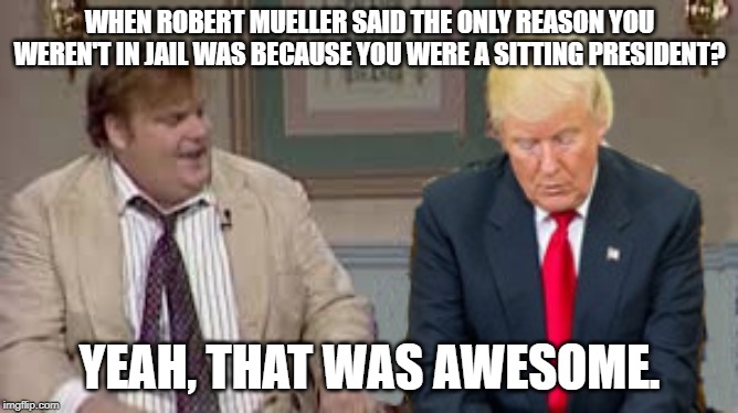Hey, remember | WHEN ROBERT MUELLER SAID THE ONLY REASON YOU WEREN'T IN JAIL WAS BECAUSE YOU WERE A SITTING PRESIDENT? YEAH, THAT WAS AWESOME. | image tagged in impeach trump,robert mueller,conservative hypocrisy | made w/ Imgflip meme maker