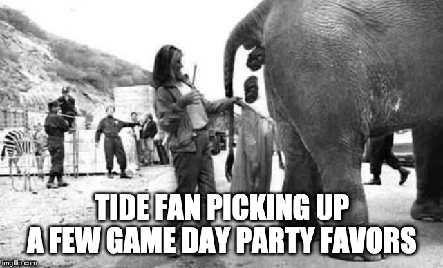 Elephant Poop Bad Day | TIDE FAN PICKING UP A FEW GAME DAY PARTY FAVORS | image tagged in elephant poop bad day | made w/ Imgflip meme maker