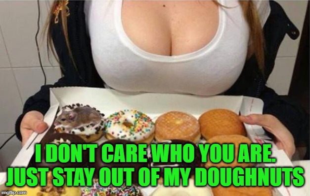 Oh Wow! Doughnuts! | I DON'T CARE WHO YOU ARE. JUST STAY OUT OF MY DOUGHNUTS | image tagged in oh wow doughnuts | made w/ Imgflip meme maker