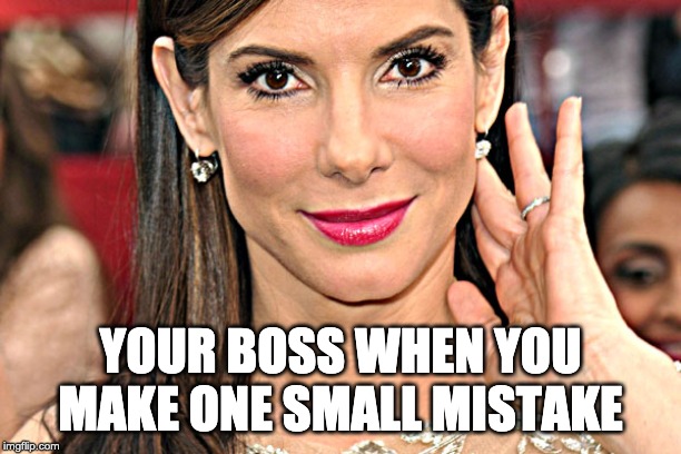 Sandra Bullock | YOUR BOSS WHEN YOU MAKE ONE SMALL MISTAKE | image tagged in sandra bullock | made w/ Imgflip meme maker