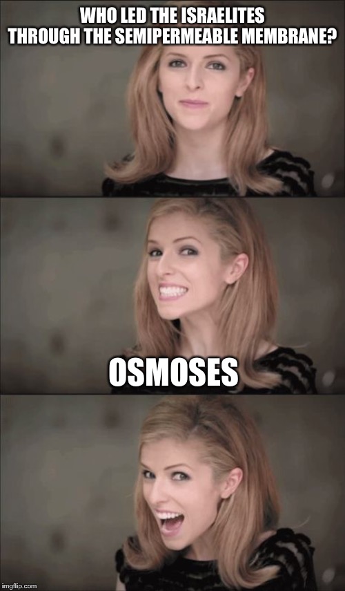 Bad Pun Anna Kendrick | WHO LED THE ISRAELITES THROUGH THE SEMIPERMEABLE MEMBRANE? OSMOSES | image tagged in memes,bad pun anna kendrick | made w/ Imgflip meme maker