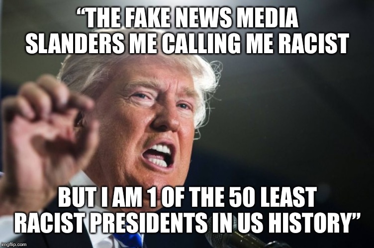 Bigly Tolerant | “THE FAKE NEWS MEDIA SLANDERS ME CALLING ME RACIST; BUT I AM 1 OF THE 50 LEAST RACIST PRESIDENTS IN US HISTORY” | image tagged in donald trump,memes,fake news,fake quote | made w/ Imgflip meme maker