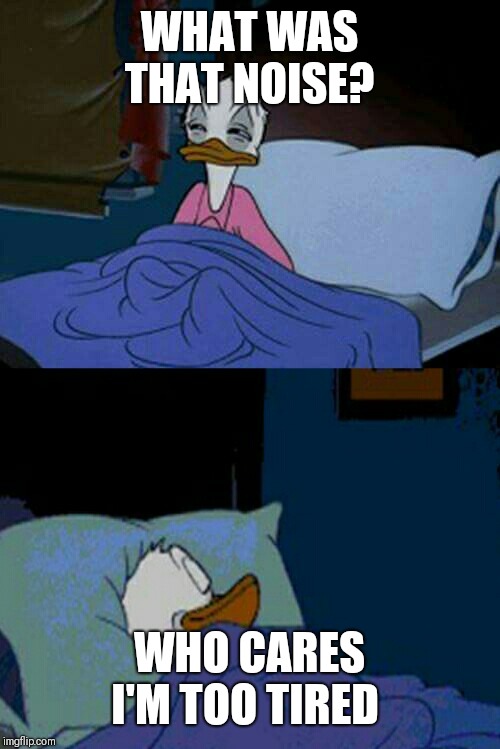 sleepy donald duck in bed | WHAT WAS THAT NOISE? WHO CARES I'M TOO TIRED | image tagged in sleepy donald duck in bed | made w/ Imgflip meme maker