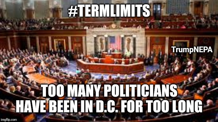 Send them home | #TERMLIMITS; TrumpNEPA; TOO MANY POLITICIANS HAVE BEEN IN D.C. FOR TOO LONG | image tagged in politics | made w/ Imgflip meme maker