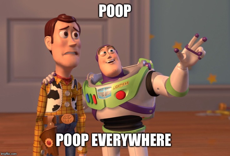 X, X Everywhere Meme | POOP; POOP EVERYWHERE | image tagged in memes,x x everywhere,poop | made w/ Imgflip meme maker