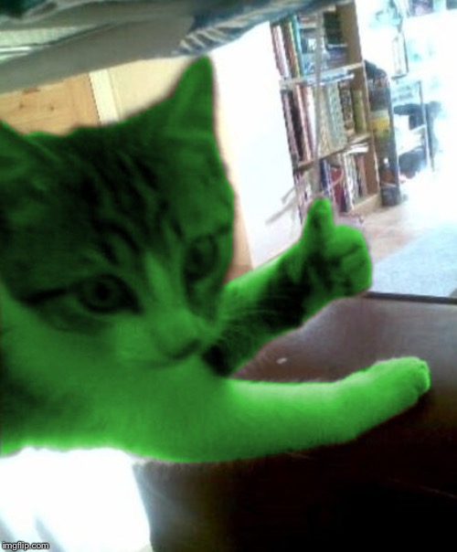 thumbs up RayCat | image tagged in thumbs up raycat | made w/ Imgflip meme maker