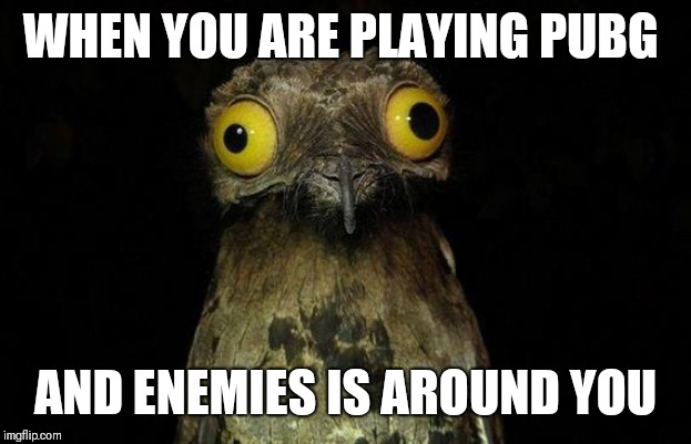 Weird Stuff I Do Potoo | WHEN YOU ARE PLAYING PUBG; AND ENEMIES IS AROUND YOU | image tagged in memes,weird stuff i do potoo | made w/ Imgflip meme maker