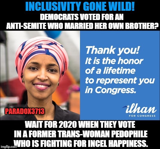 Such an outstanding career.  Her views on America, message, anti-semitism, and Ideology really says a lot about her. | PARADOX3713 | image tagged in memes,ilhan omar,democrats,anti-semite and a racist,squad,epic fail | made w/ Imgflip meme maker