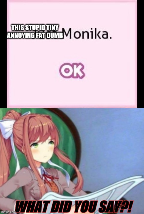 THIS STUPID TINY ANNOYING FAT DUMB WHAT DID YOU SAY?! | image tagged in just monika | made w/ Imgflip meme maker