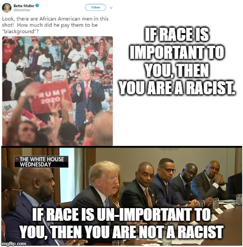 If you make everything about race, you are the racist (hear that dems?) | IF RACE IS IMPORTANT TO YOU, THEN YOU ARE A RACIST. IF RACE IS UN-IMPORTANT TO YOU, THEN YOU ARE NOT A RACIST | image tagged in memes,racist midler,definition of racism | made w/ Imgflip meme maker