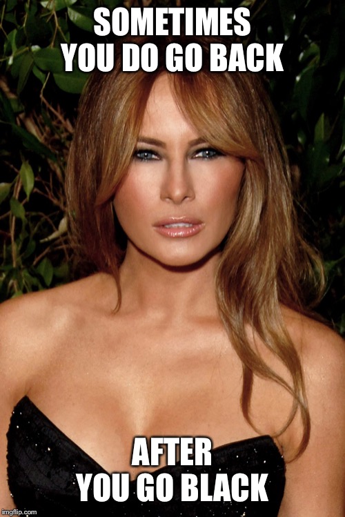 melania trump | SOMETIMES YOU DO GO BACK AFTER YOU GO BLACK | image tagged in melania trump | made w/ Imgflip meme maker