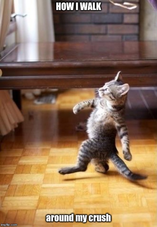 Cool Cat Stroll Meme | HOW I WALK; around my crush | image tagged in memes,cool cat stroll | made w/ Imgflip meme maker