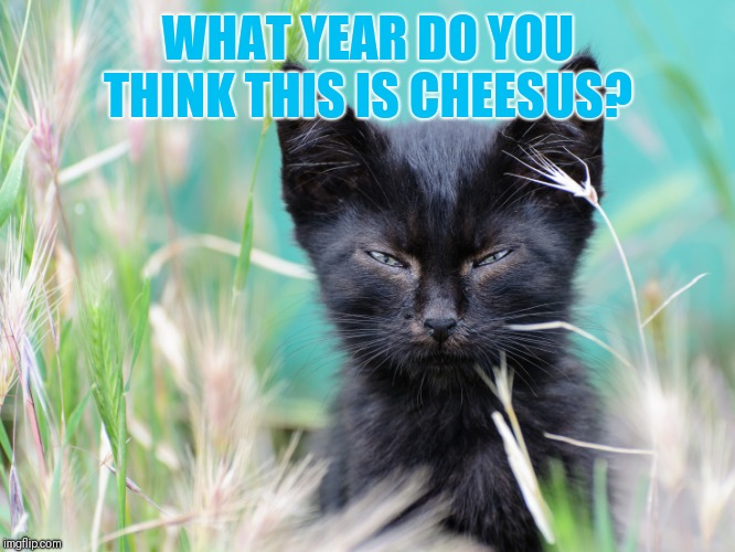 WHAT YEAR DO YOU THINK THIS IS CHEESUS? | made w/ Imgflip meme maker