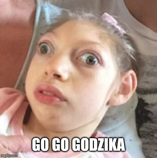 Mosquitos Suck | GO GO GODZIKA | image tagged in memes,funny memes,children,godzilla,disease,zika virus | made w/ Imgflip meme maker