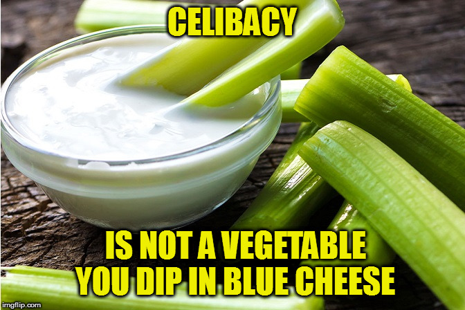 And monogamy is not an expensive kind of wood! | CELIBACY; IS NOT A VEGETABLE YOU DIP IN BLUE CHEESE | image tagged in memes,its just a joke,no message | made w/ Imgflip meme maker