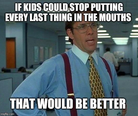 That Would Be Great Meme | IF KIDS COULD STOP PUTTING EVERY LAST THING IN THE MOUTHS THAT WOULD BE BETTER | image tagged in memes,that would be great | made w/ Imgflip meme maker