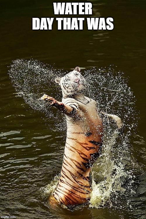 Fabulous Tiger | WATER DAY THAT WAS | image tagged in fabulous tiger | made w/ Imgflip meme maker