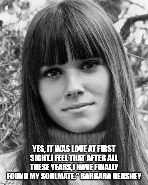 Quotes | YES, IT WAS LOVE AT FIRST SIGHT.I FEEL THAT AFTER ALL THESE YEARS,I HAVE FINALLY FOUND MY SOULMATE." BARBARA HERSHEY | image tagged in celebrity quotes | made w/ Imgflip meme maker