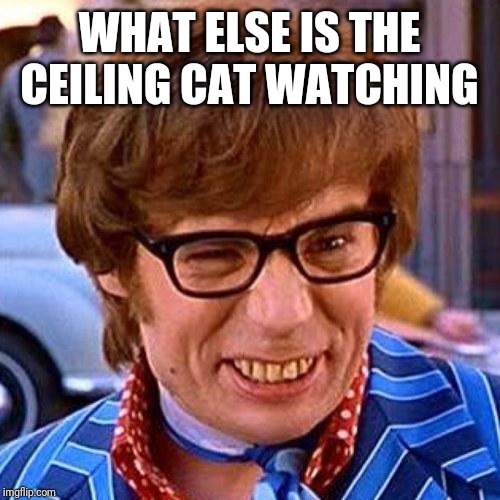 Austin Powers Wink | WHAT ELSE IS THE CEILING CAT WATCHING | image tagged in austin powers wink | made w/ Imgflip meme maker