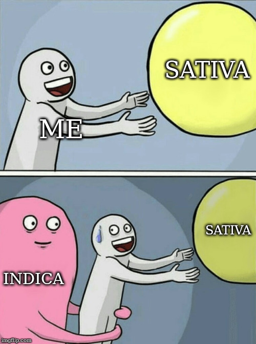 Running Away Balloon Meme | SATIVA; ME; SATIVA; INDICA | image tagged in memes,running away balloon | made w/ Imgflip meme maker