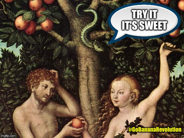 say no to sugar | TRY IT IT'S SWEET; #GoBananaRevolution | image tagged in adam and eve | made w/ Imgflip meme maker
