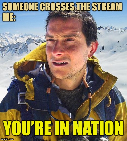 What happens when you try to stretch a pun too far... | SOMEONE CROSSES THE STREAM
ME:; YOU’RE IN NATION | image tagged in memes,bear grylls | made w/ Imgflip meme maker