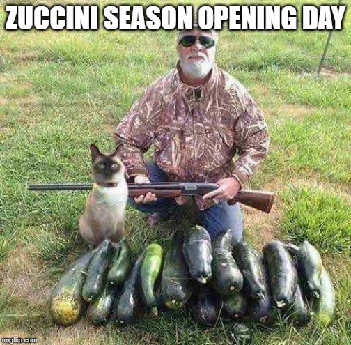 Opening Day Zucchini Season |  ZUCCINI SEASON OPENING DAY | image tagged in opening day,funny memes,funny meme,food,veganism,vegetable | made w/ Imgflip meme maker