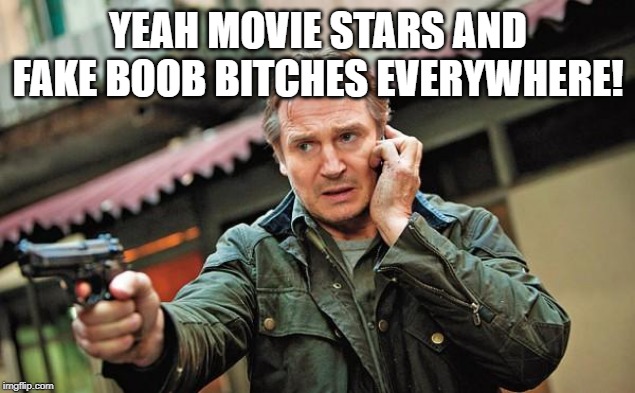 Liam Neeson Gun Movie Star | YEAH MOVIE STARS AND FAKE BOOB B**CHES EVERYWHERE! | image tagged in liam neeson gun movie star | made w/ Imgflip meme maker