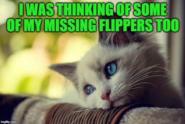 First World Problems Cat Meme | I WAS THINKING OF SOME OF MY MISSING FLIPPERS TOO | image tagged in memes,first world problems cat | made w/ Imgflip meme maker
