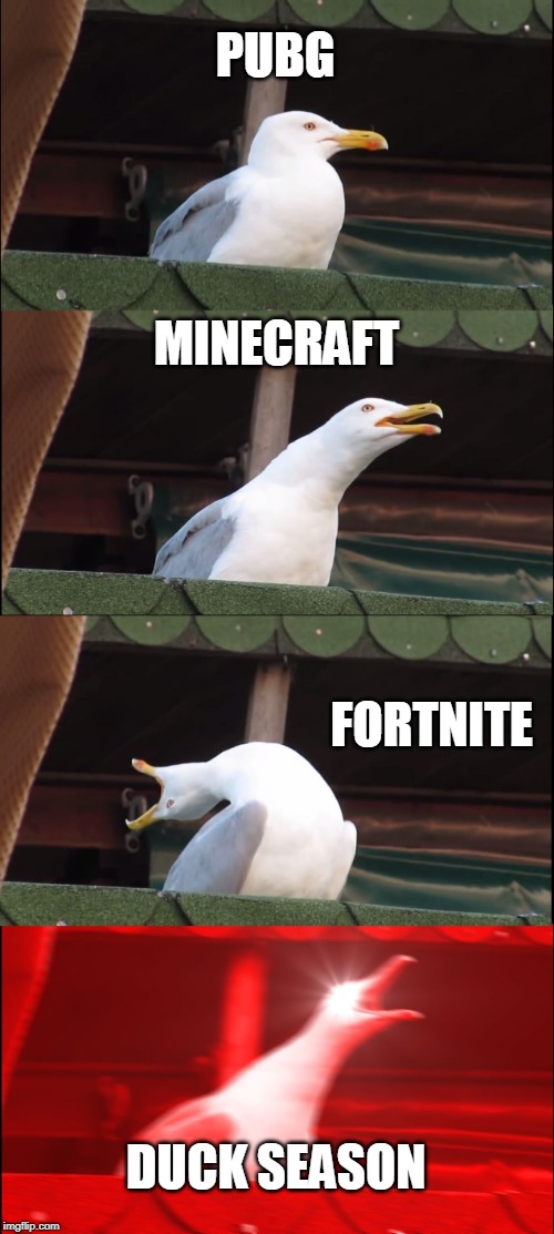 Inhaling Seagull | PUBG; MINECRAFT; FORTNITE; DUCK SEASON | image tagged in memes,inhaling seagull | made w/ Imgflip meme maker