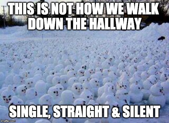 Million Snowman March | THIS IS NOT HOW WE WALK 
DOWN THE HALLWAY; SINGLE, STRAIGHT & SILENT | image tagged in million snowman march | made w/ Imgflip meme maker