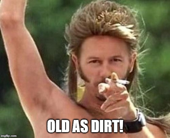 Joe dirt | OLD AS DIRT! | image tagged in joe dirt | made w/ Imgflip meme maker