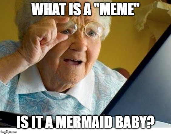 old lady at computer | WHAT IS A "MEME"; IS IT A MERMAID BABY? | image tagged in old lady at computer | made w/ Imgflip meme maker