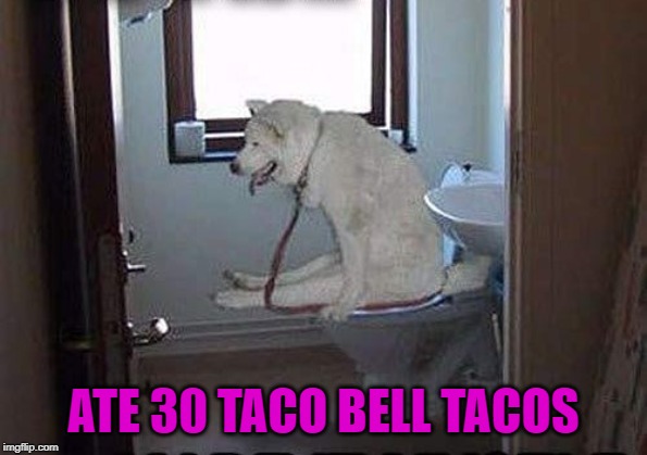 ATE 30 TACO BELL TACOS | made w/ Imgflip meme maker