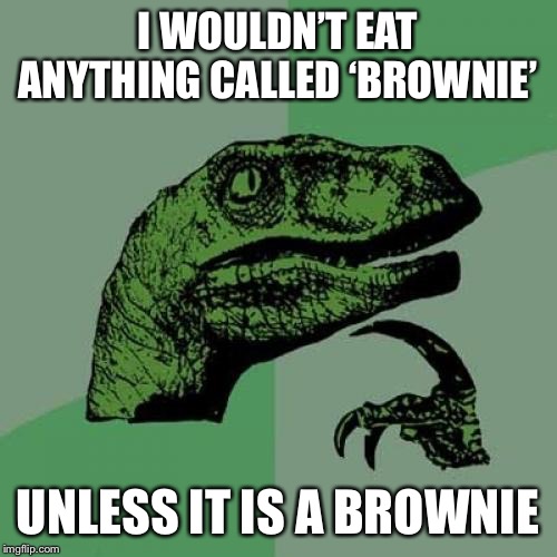 Philosoraptor | I WOULDN’T EAT ANYTHING CALLED ‘BROWNIE’; UNLESS IT IS A BROWNIE | image tagged in memes,philosoraptor | made w/ Imgflip meme maker