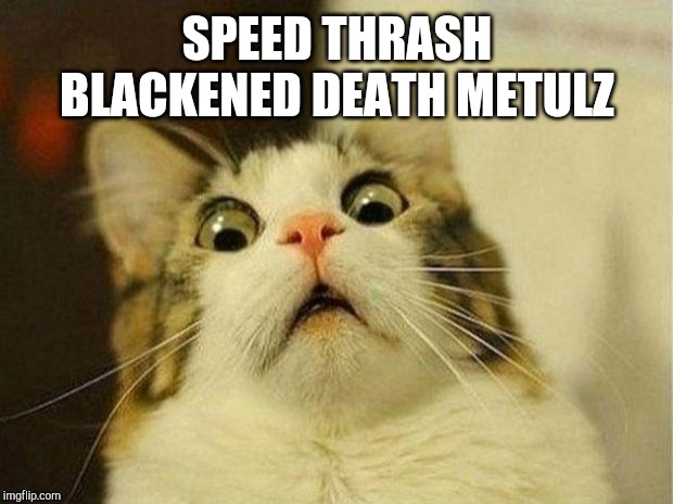 Scared Cat Meme | SPEED THRASH BLACKENED DEATH METULZ | image tagged in memes,scared cat | made w/ Imgflip meme maker